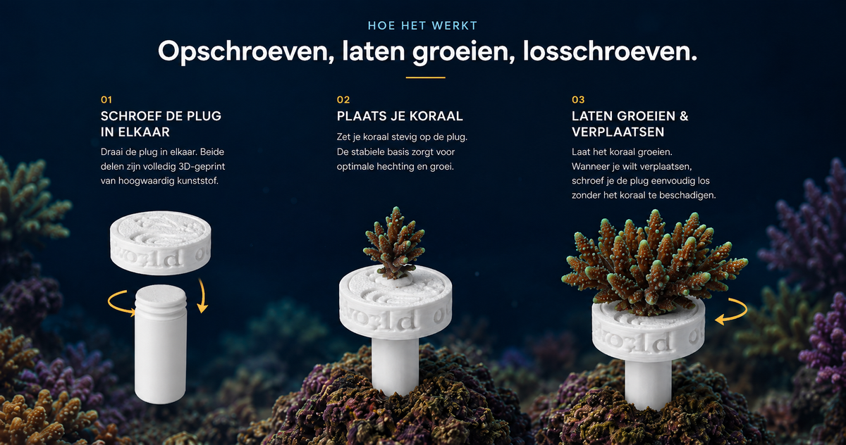 Hoe het werkt: schroef de plug in elkaar, plaats je koraal, laat het groeien en schroef los om te verplaatsen